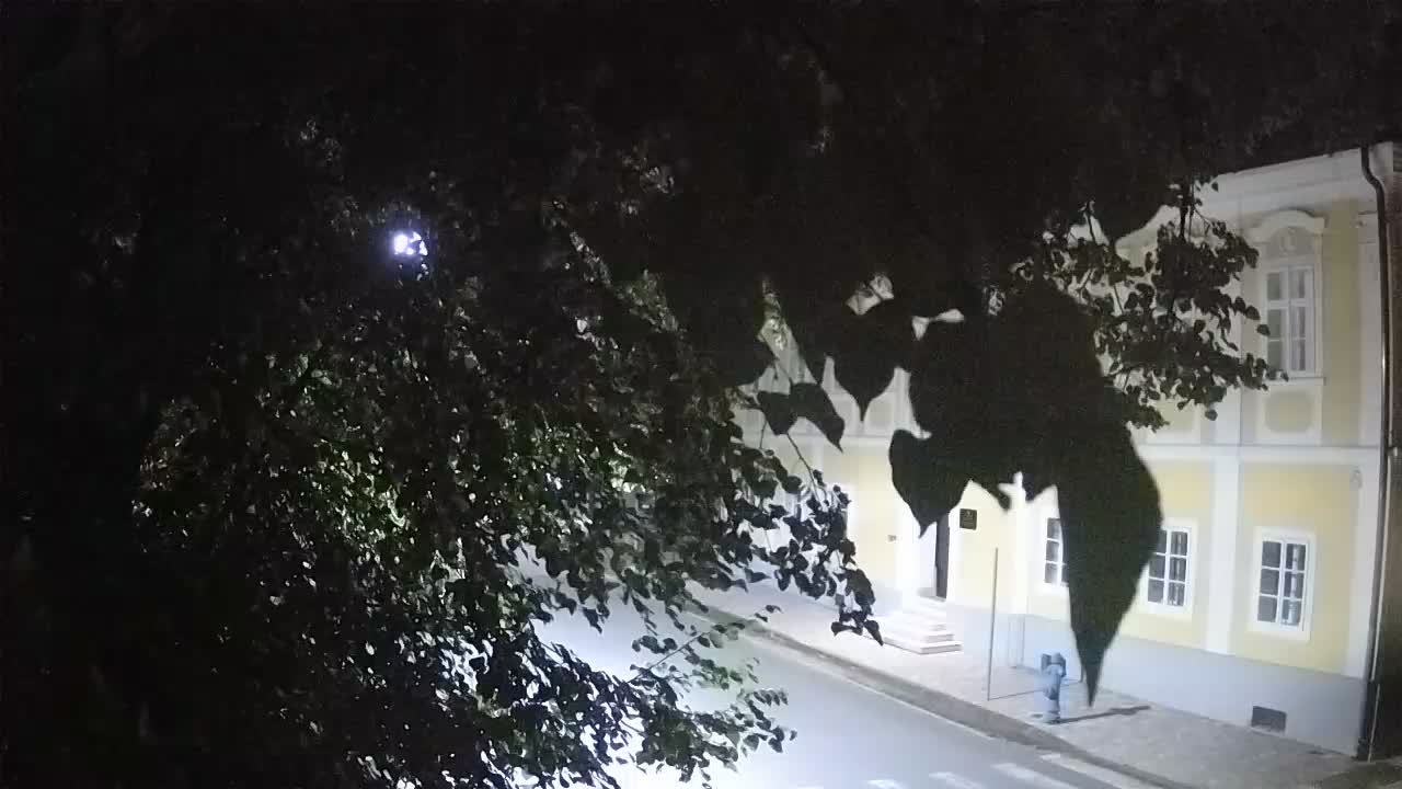Live webcam Petrinja central park – after the earthquake