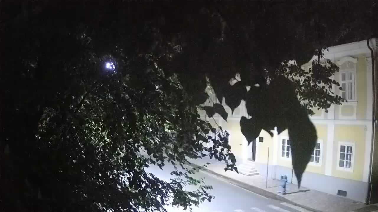 Live webcam Petrinja central park – after the earthquake