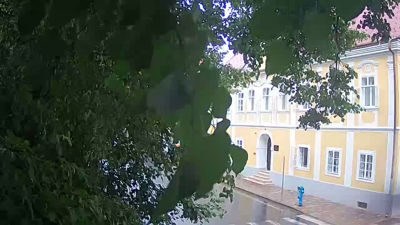 Live webcam parco Petrinja – dopo il terremoto