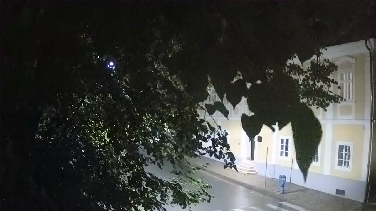 Live webcam parco Petrinja – dopo il terremoto