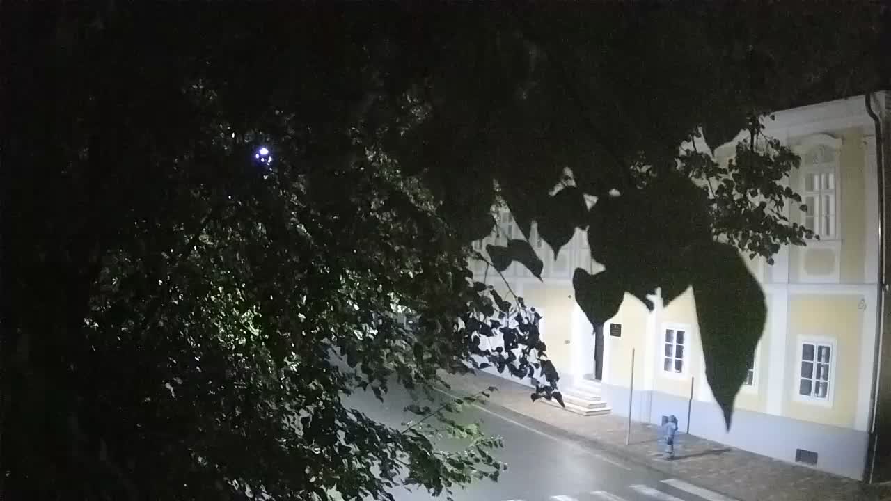 Live webcam parco Petrinja – dopo il terremoto