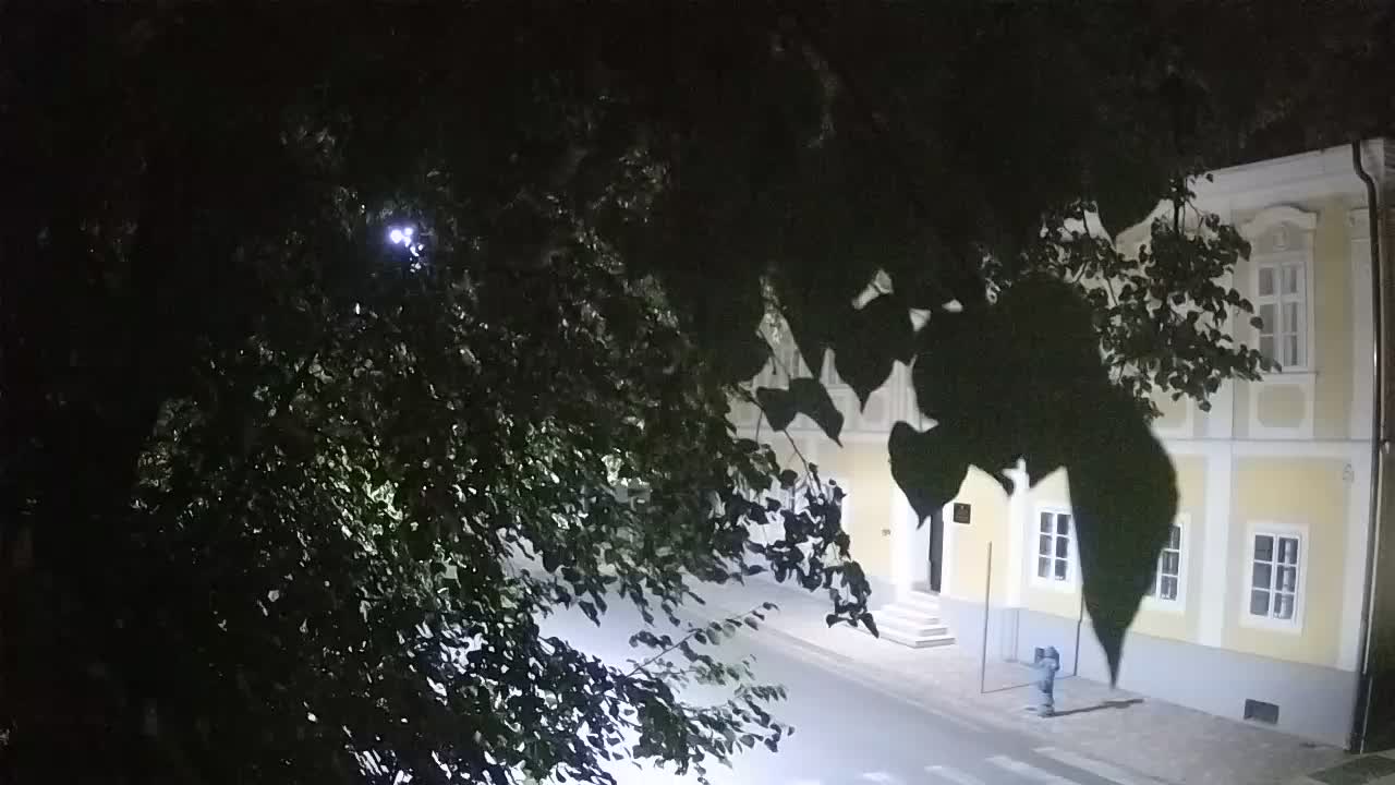 Webcam en direct du parc Petrinja – après le tremblement de terre
