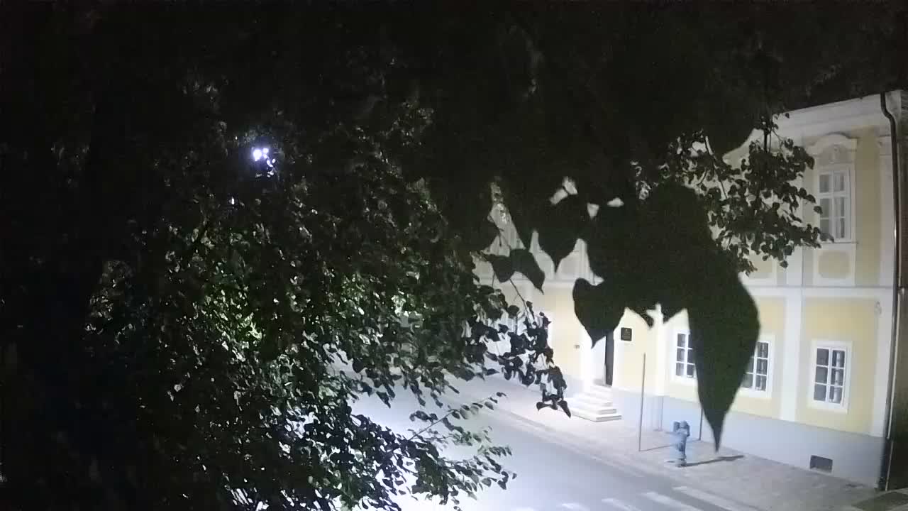 Live Webcam Petrinja Park – nach dem Erdbeben