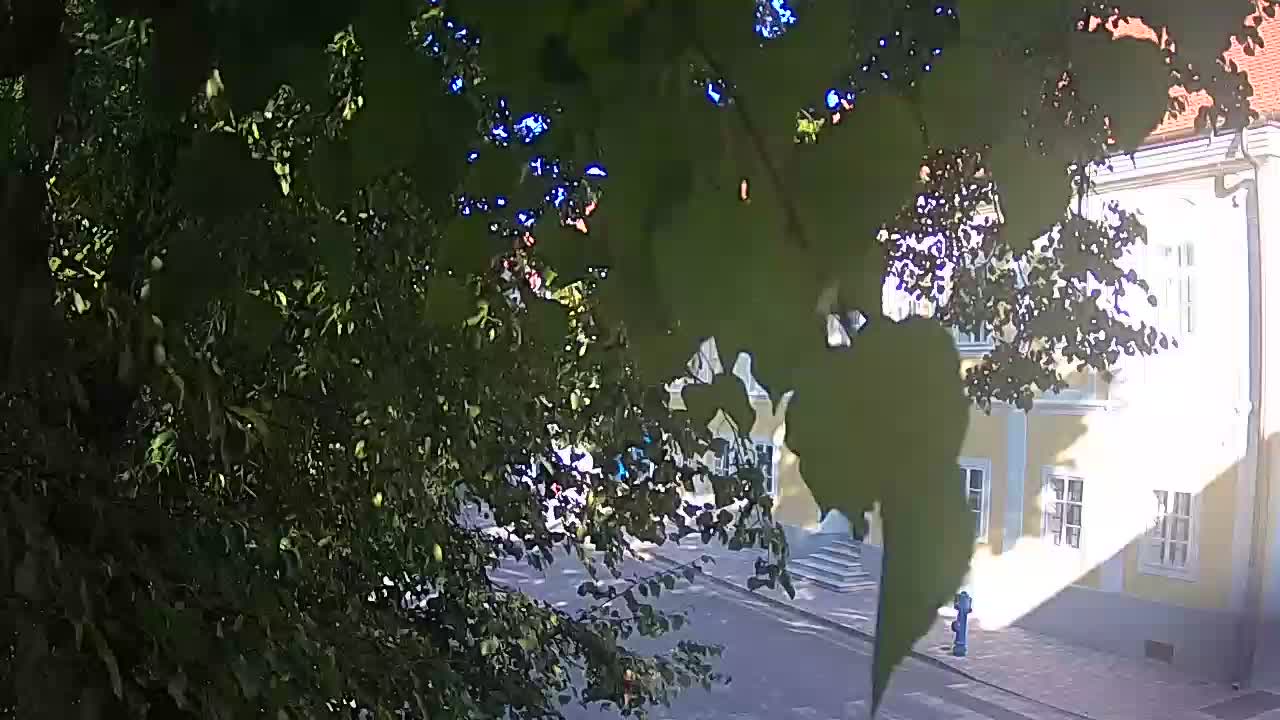 Live webcam Petrinja central park – after the earthquake
