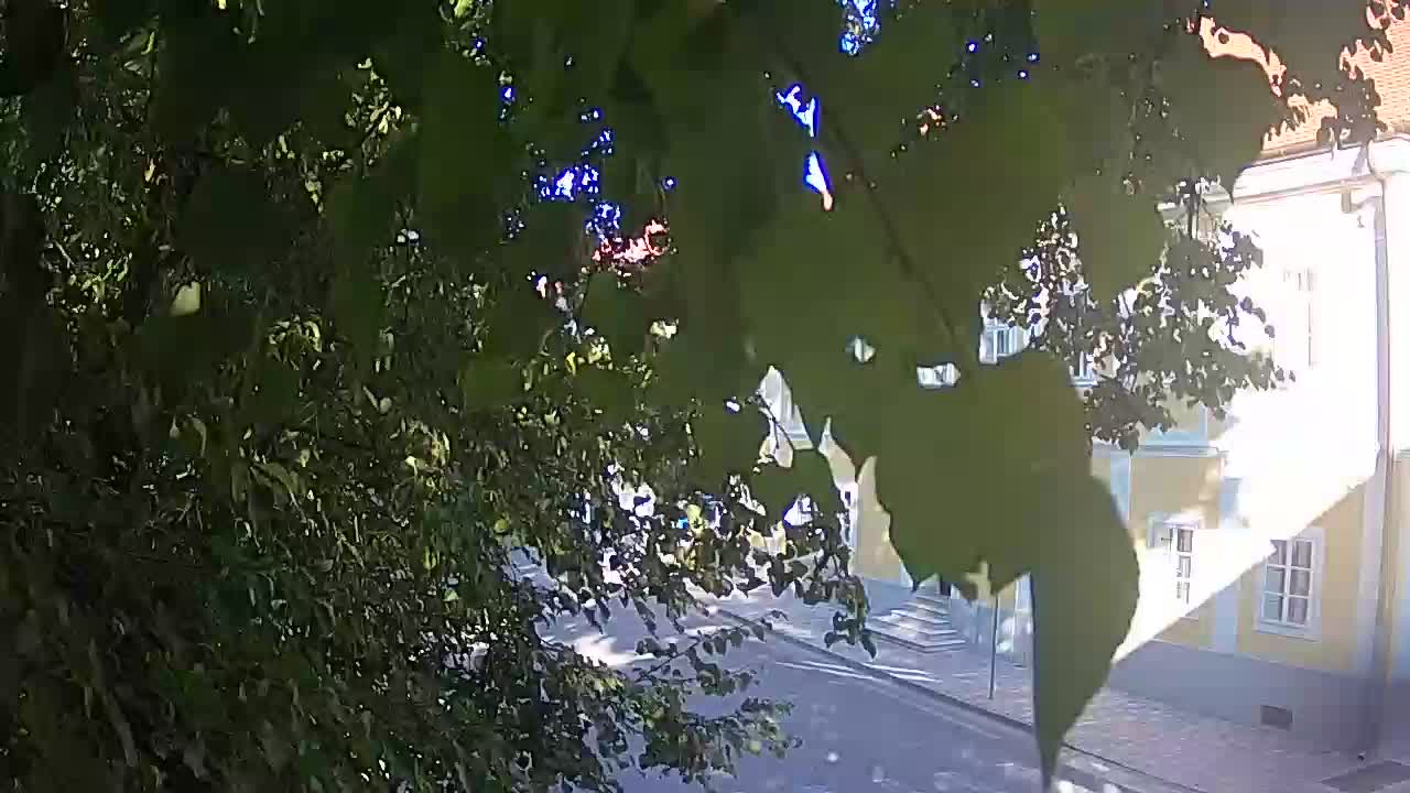 Web kamera uživo Petrinja centralni park – nakon potresa
