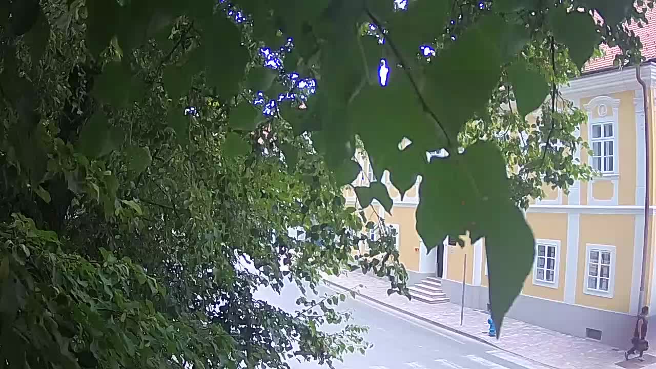 Web kamera uživo Petrinja centralni park – nakon potresa