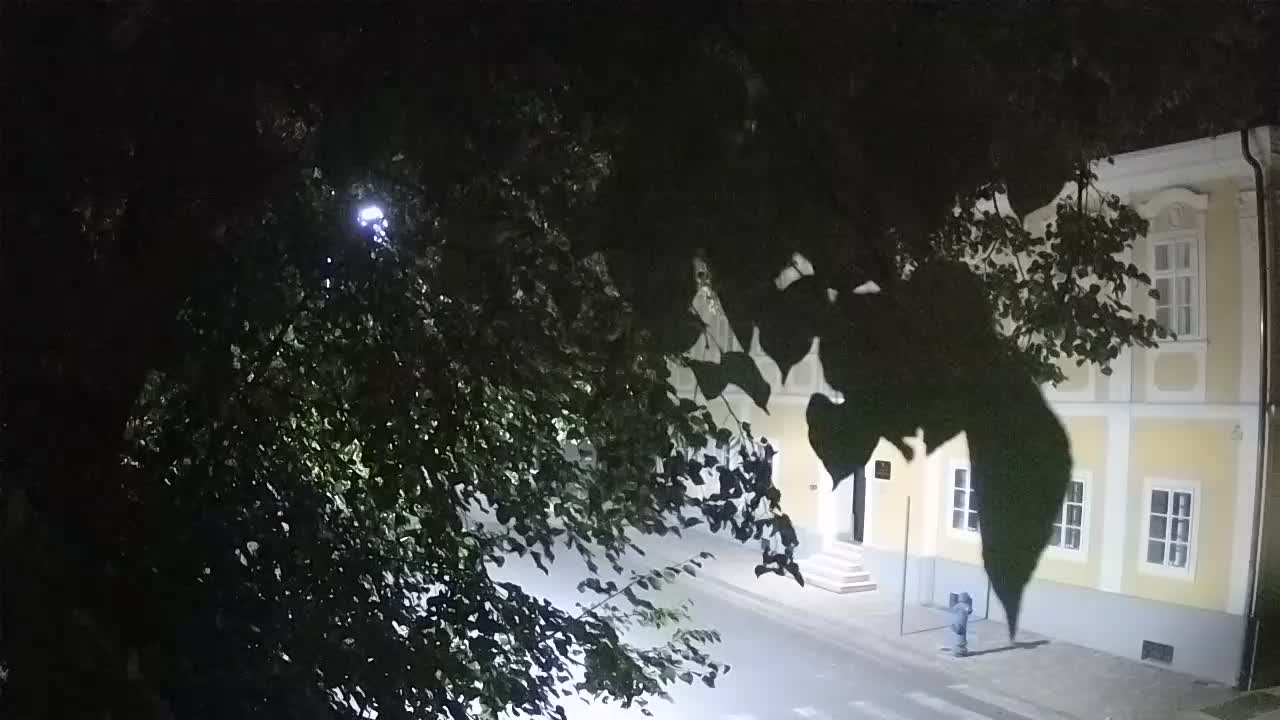 Webcam en direct du parc Petrinja – après le tremblement de terre