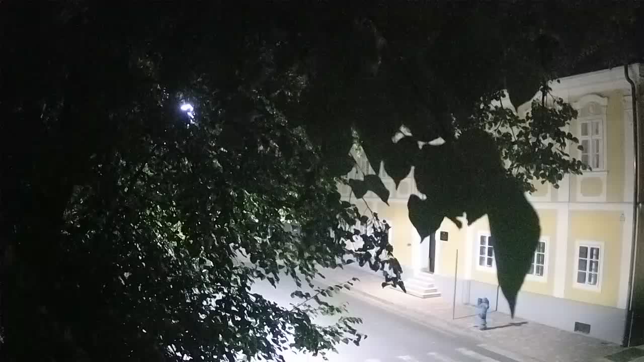 Spletna kamera v živo Petrinja centralni park – po potresu