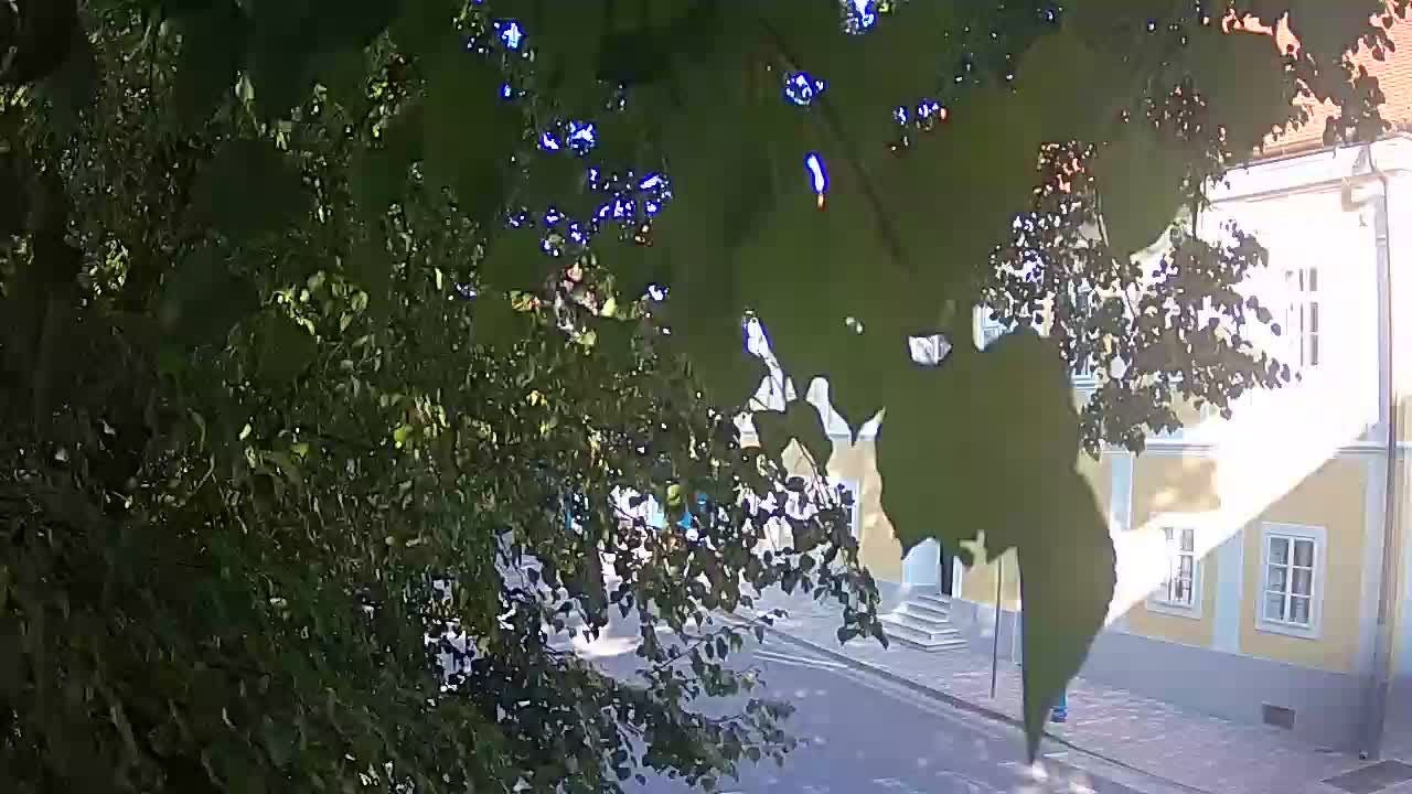 Web kamera uživo Petrinja centralni park – nakon potresa