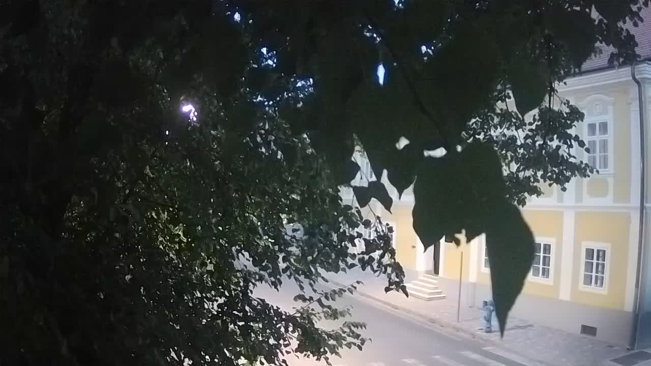 Live webcam parco Petrinja – dopo il terremoto