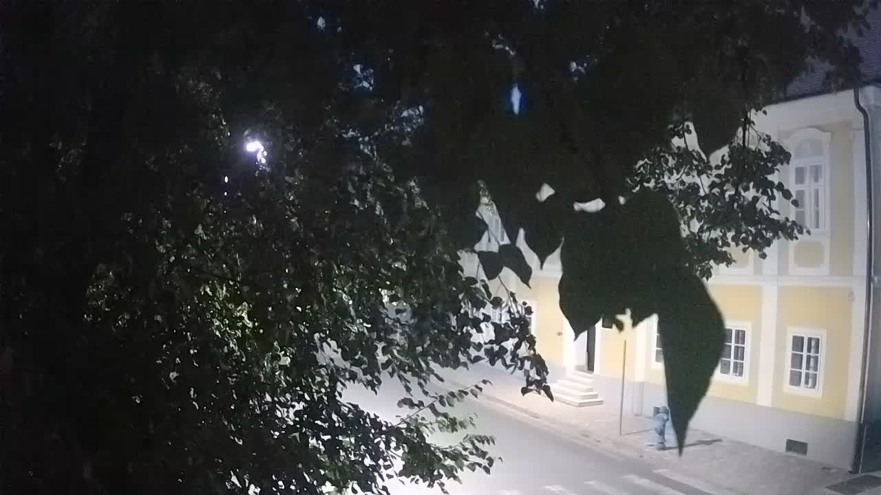 Spletna kamera v živo Petrinja centralni park – po potresu