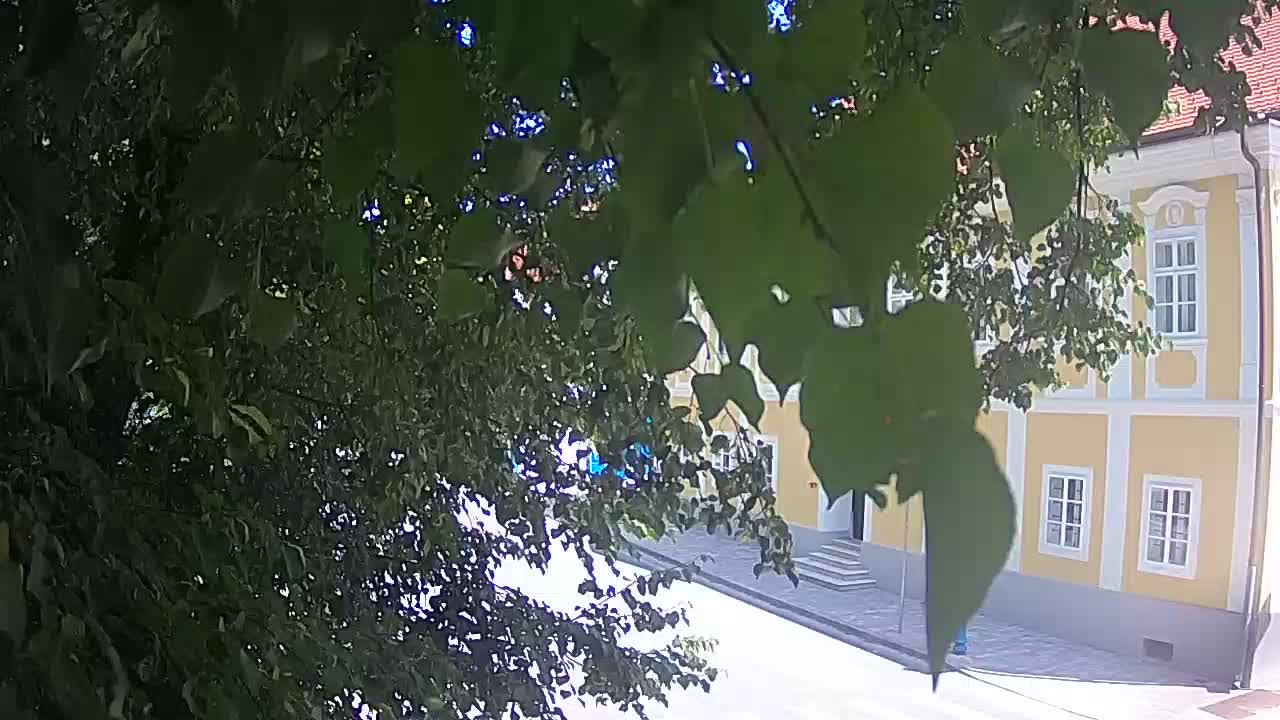 Spletna kamera v živo Petrinja centralni park – po potresu