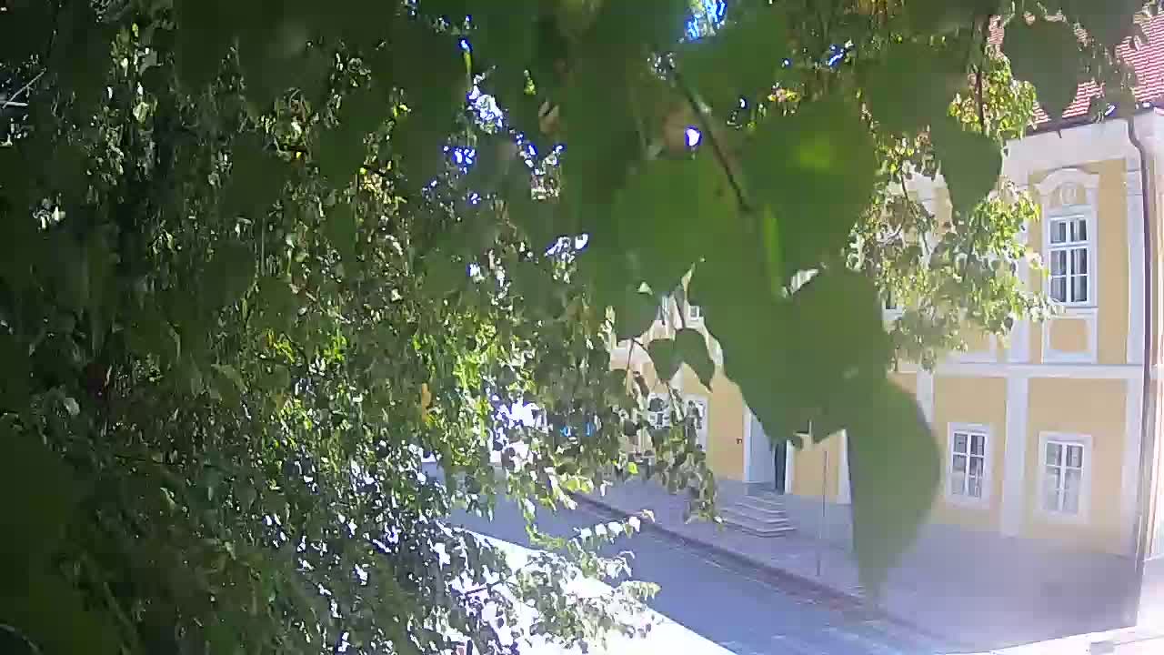 Webcam en direct du parc Petrinja – après le tremblement de terre