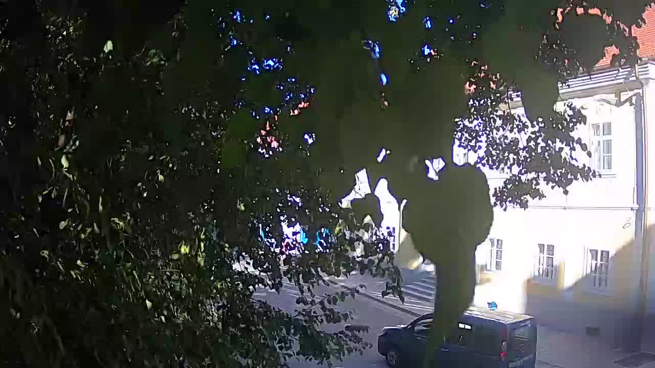 Live webcam Petrinja central park – after the earthquake