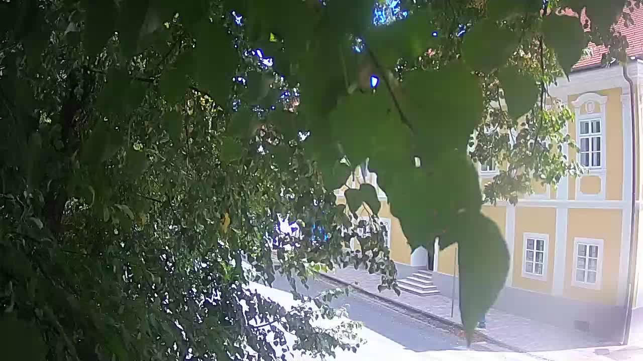 Live webcam Petrinja central park – after the earthquake