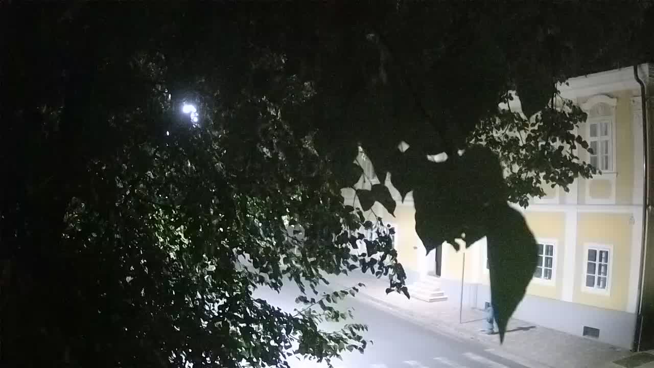 Web kamera uživo Petrinja centralni park – nakon potresa