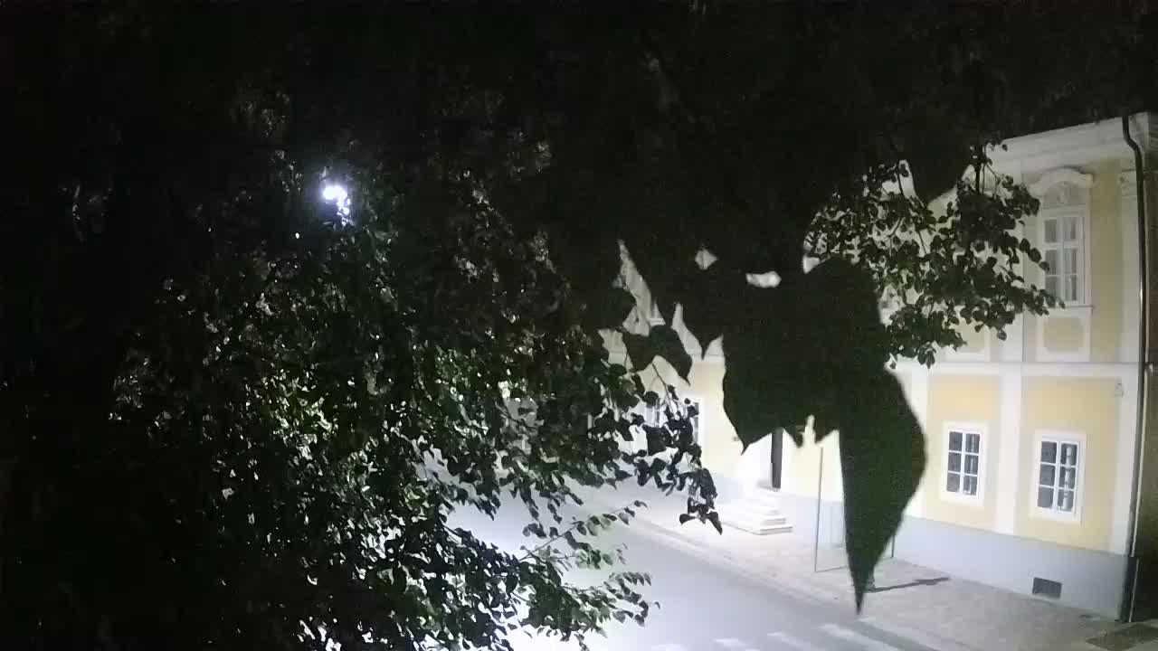 Live Webcam Petrinja Park – nach dem Erdbeben