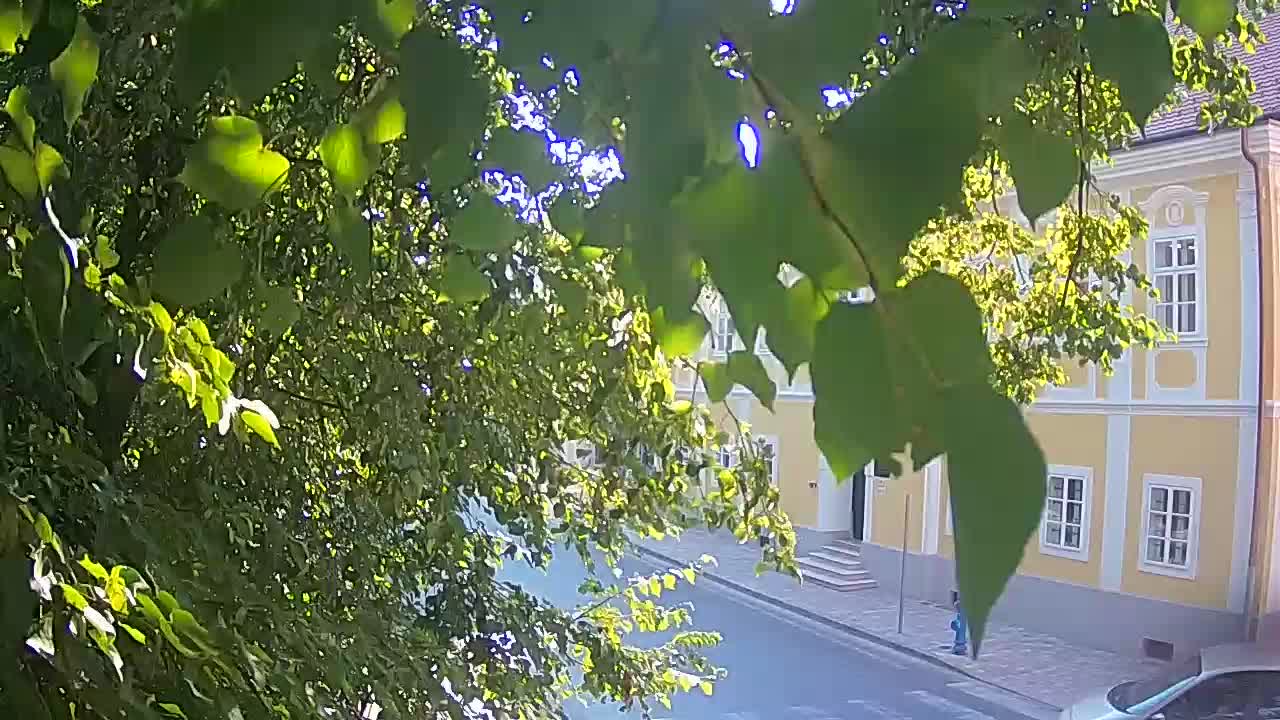 Webcam en direct du parc Petrinja – après le tremblement de terre