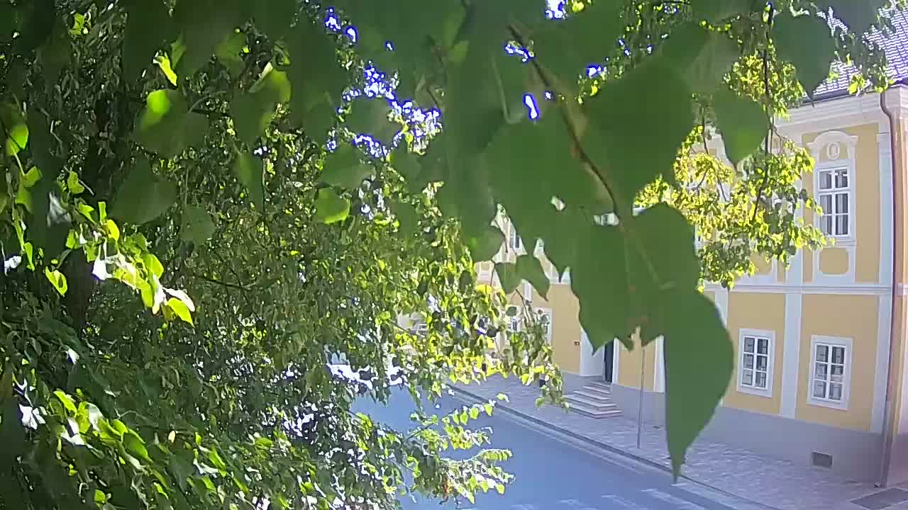 Webcam en vivo parque Petrinja – después del terremoto