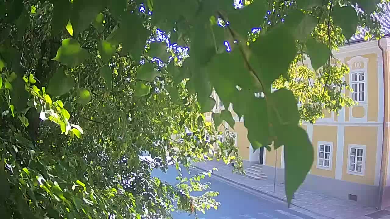Webcam en direct du parc Petrinja – après le tremblement de terre