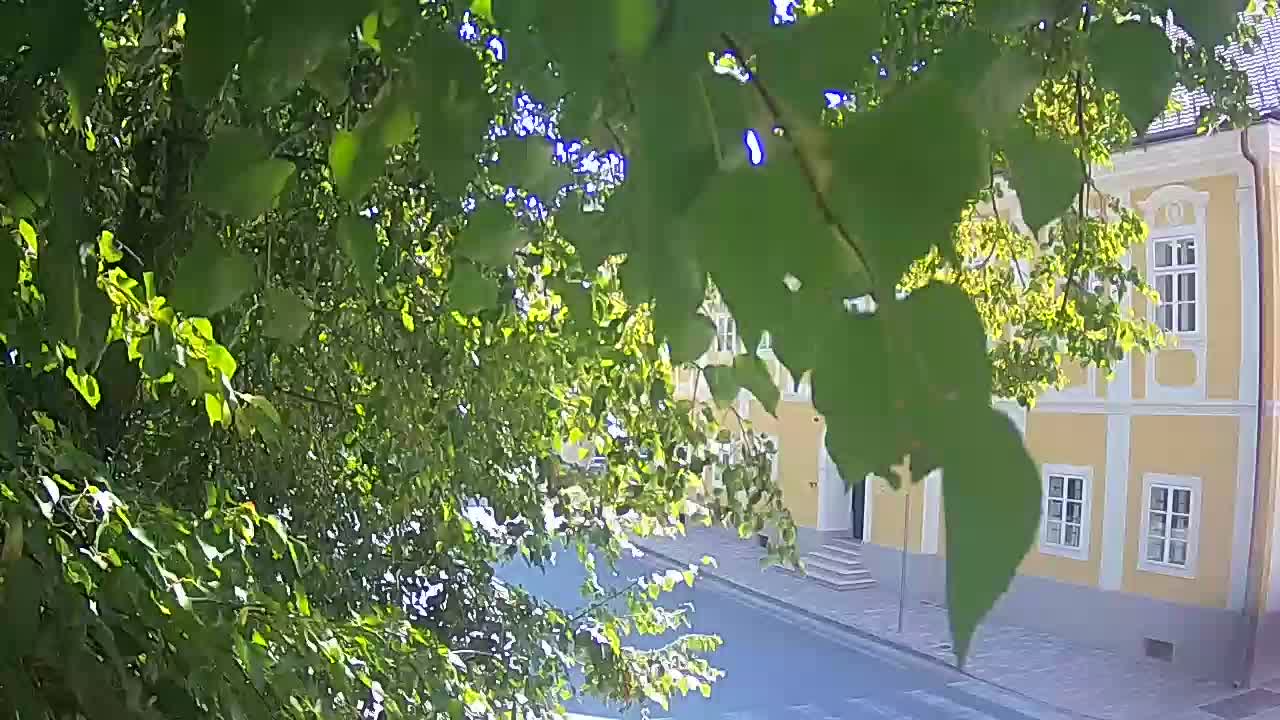 Live Webcam Petrinja Park – nach dem Erdbeben