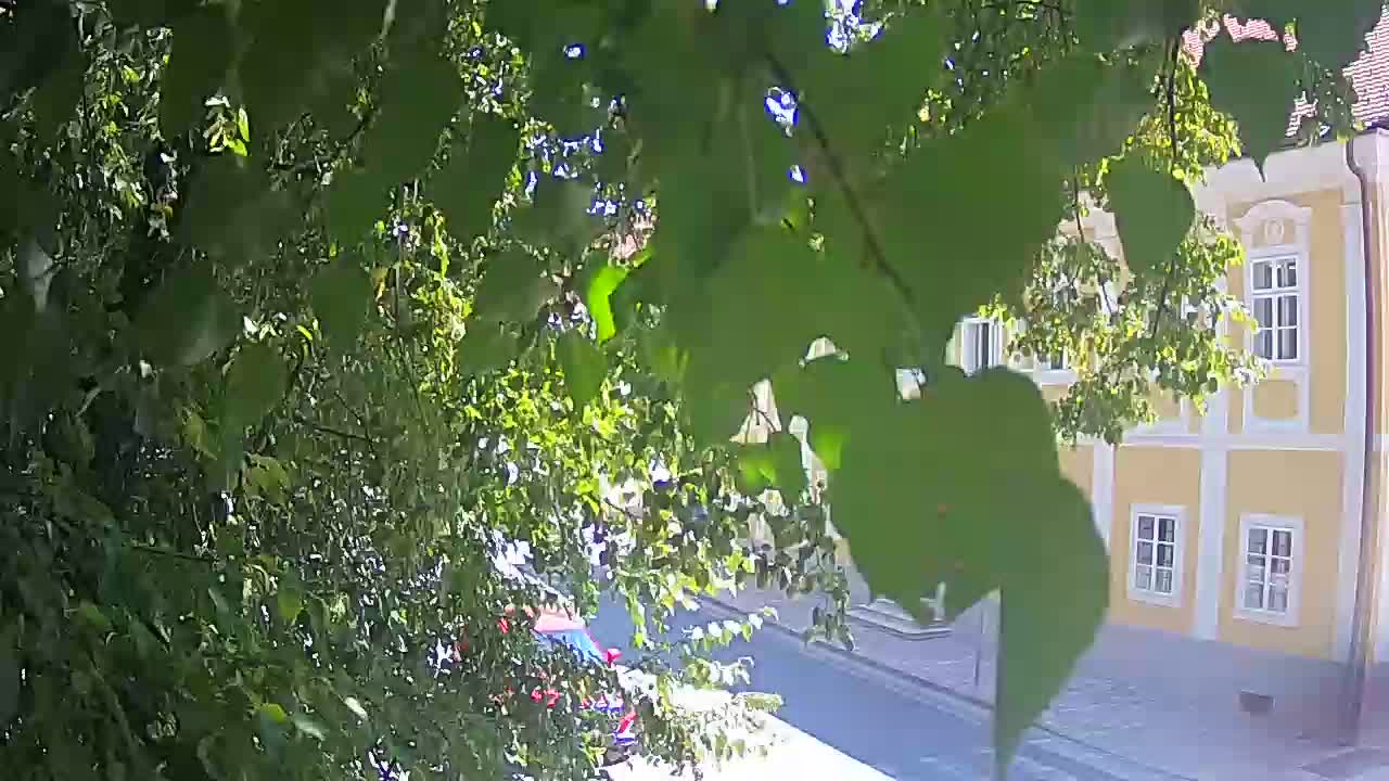 Webcam en vivo parque Petrinja – después del terremoto