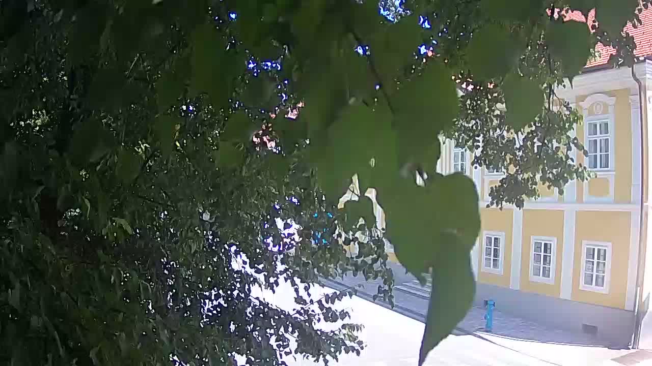 Webcam en vivo parque Petrinja – después del terremoto