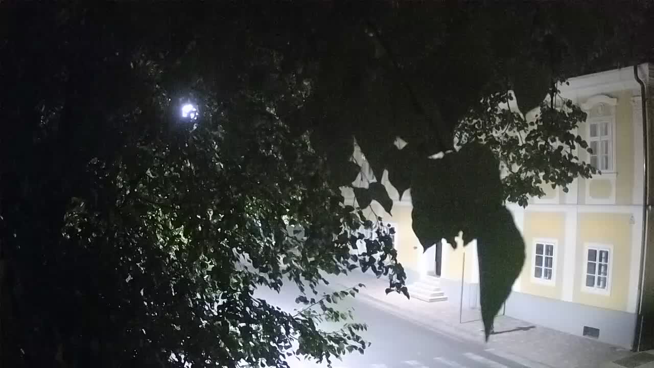 Live webcam Petrinja central park – after the earthquake