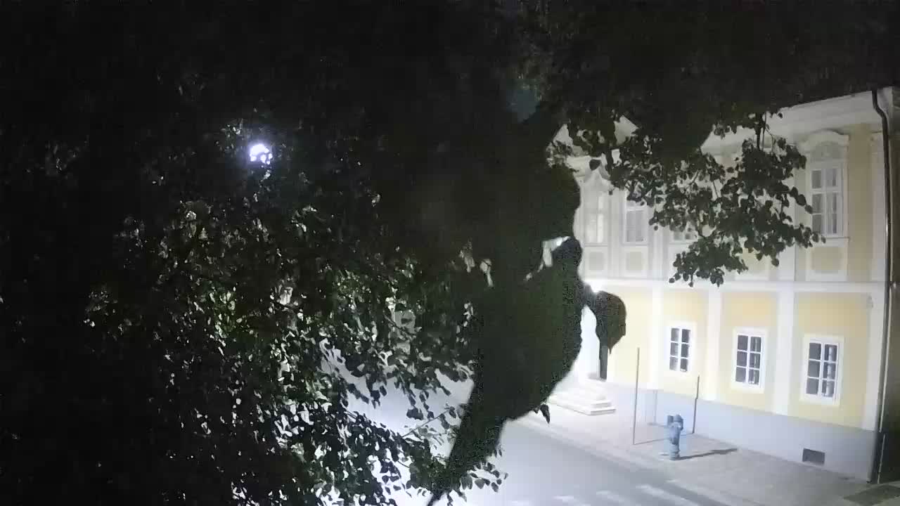 Live webcam Petrinja central park – after the earthquake