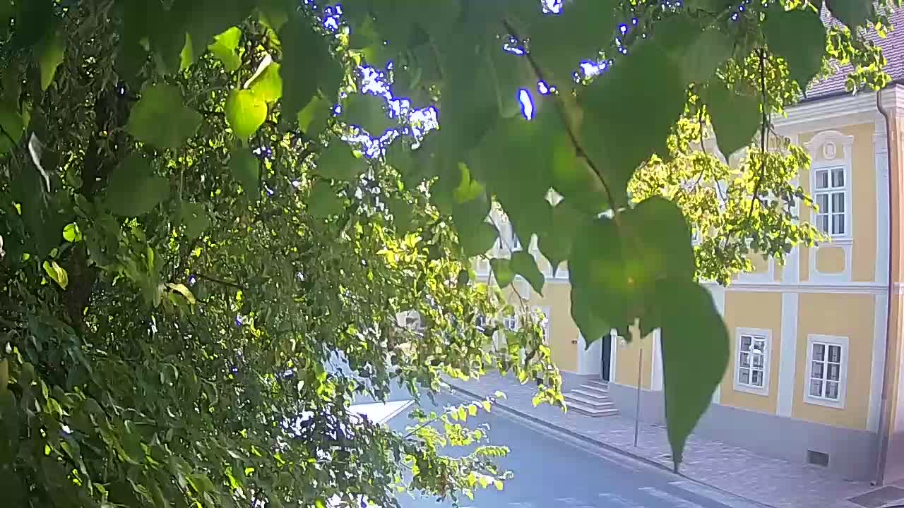 Webcam en direct du parc Petrinja – après le tremblement de terre