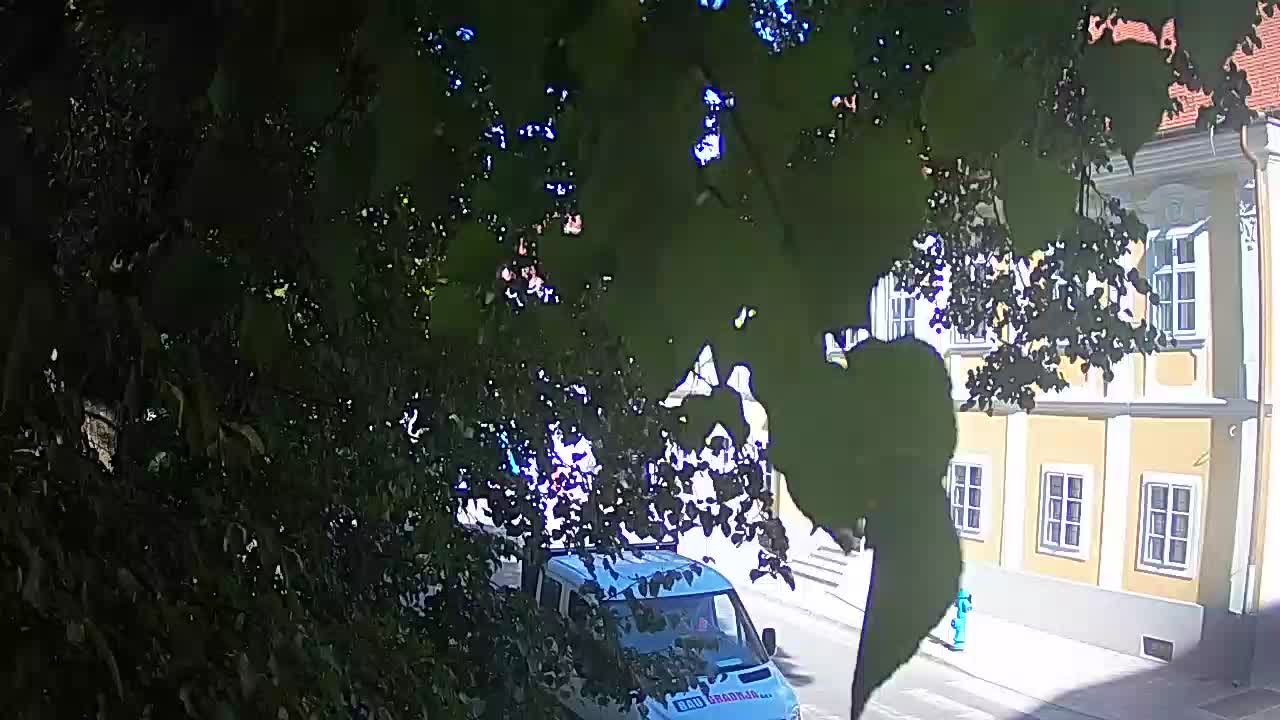 Live webcam Petrinja central park – after the earthquake
