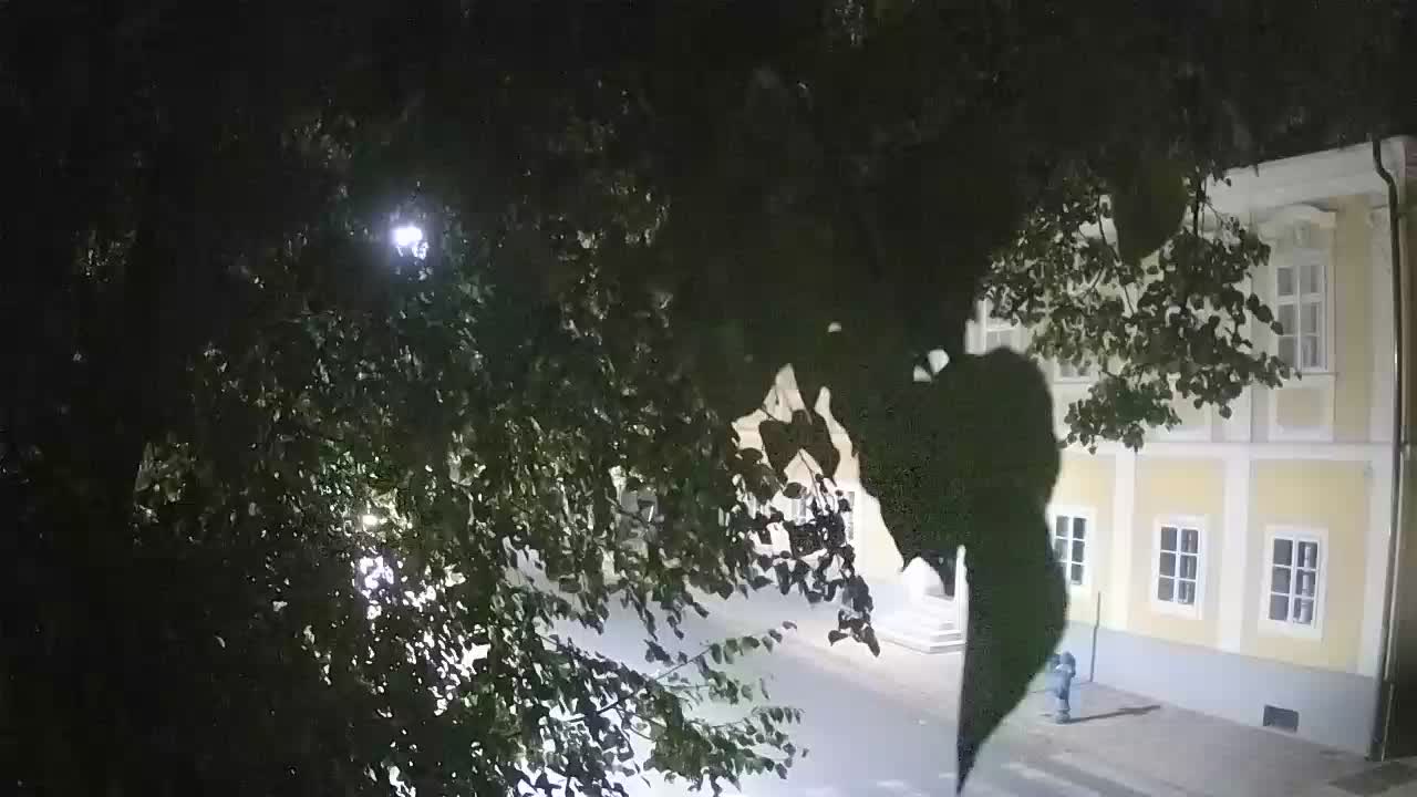 Webcam en direct du parc Petrinja – après le tremblement de terre