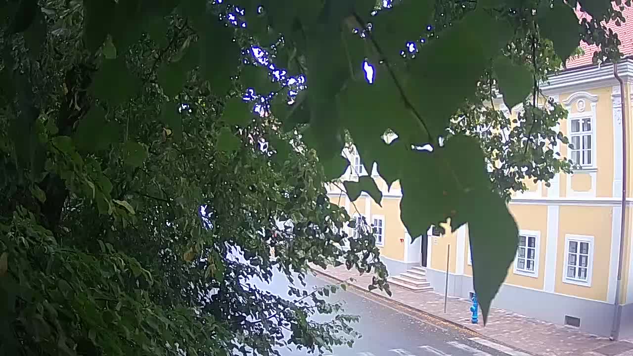 Web kamera uživo Petrinja centralni park – nakon potresa