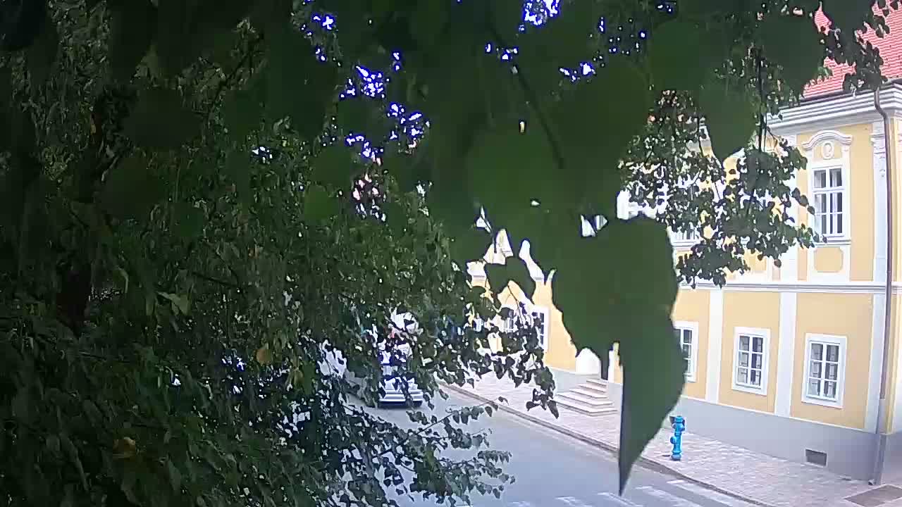 Webcam en vivo parque Petrinja – después del terremoto