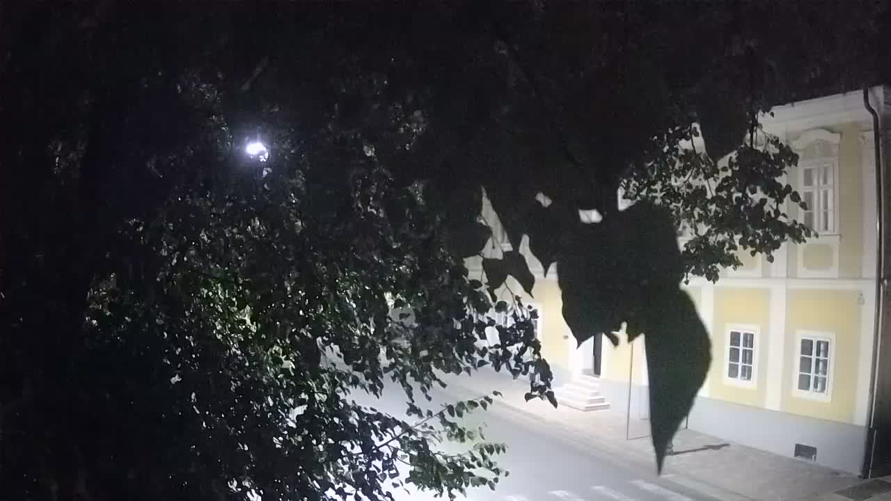 Live webcam Petrinja central park – after the earthquake