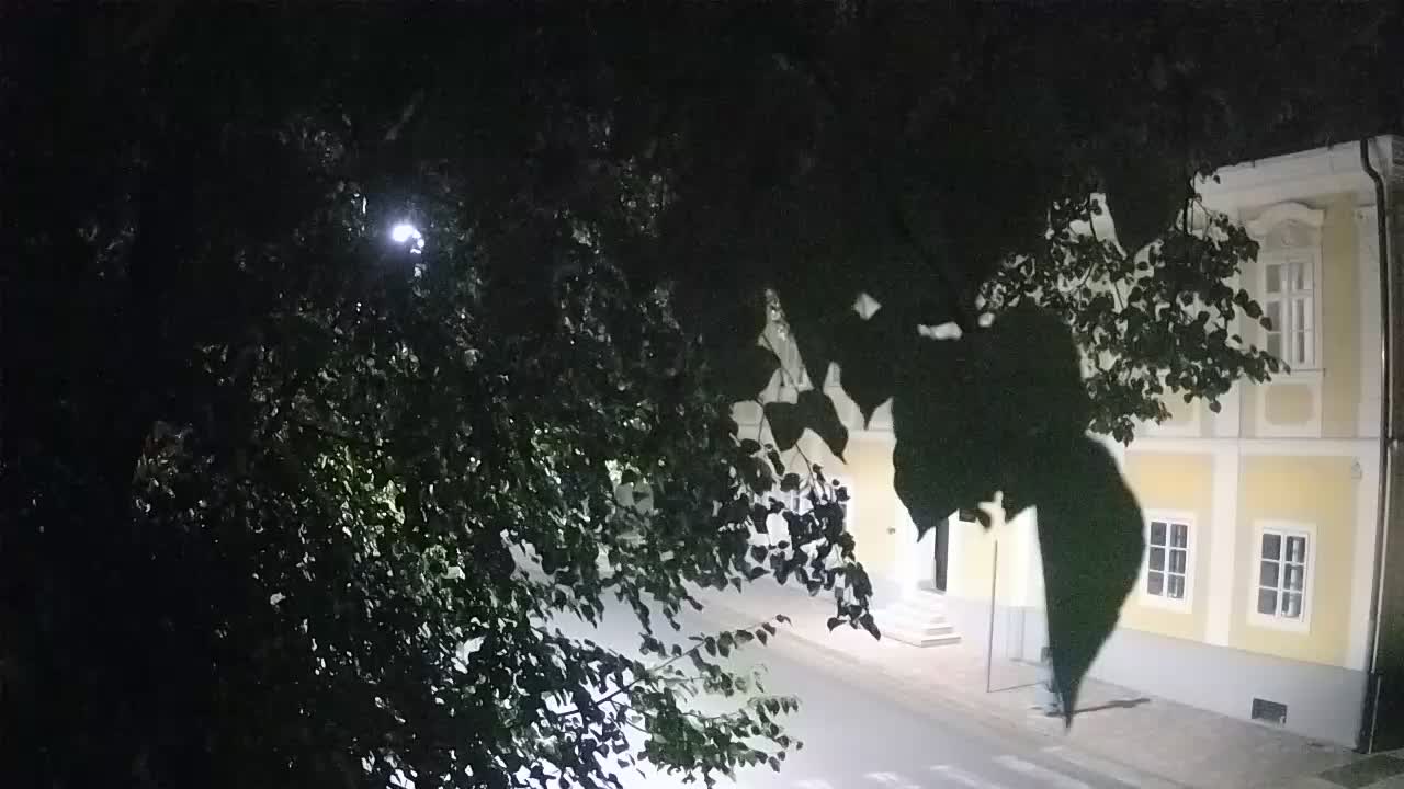 Webcam en direct du parc Petrinja – après le tremblement de terre