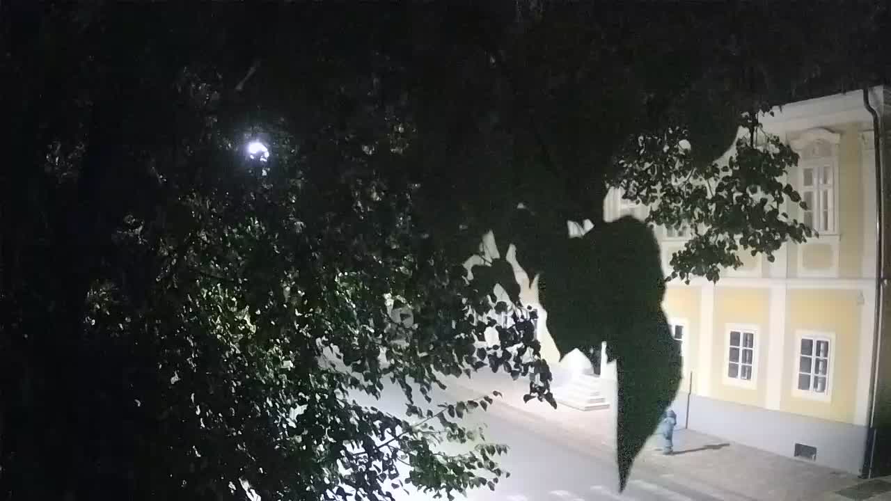 Spletna kamera v živo Petrinja centralni park – po potresu