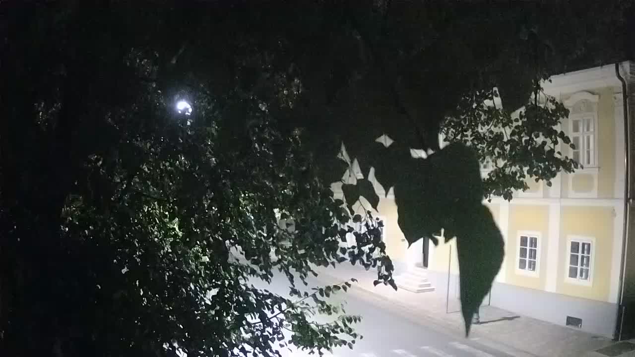 Webcam en vivo parque Petrinja – después del terremoto