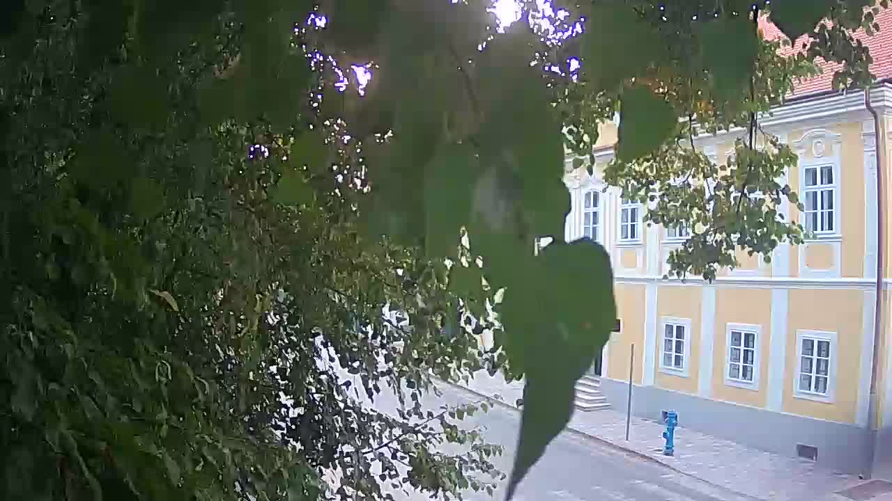 Spletna kamera v živo Petrinja centralni park – po potresu