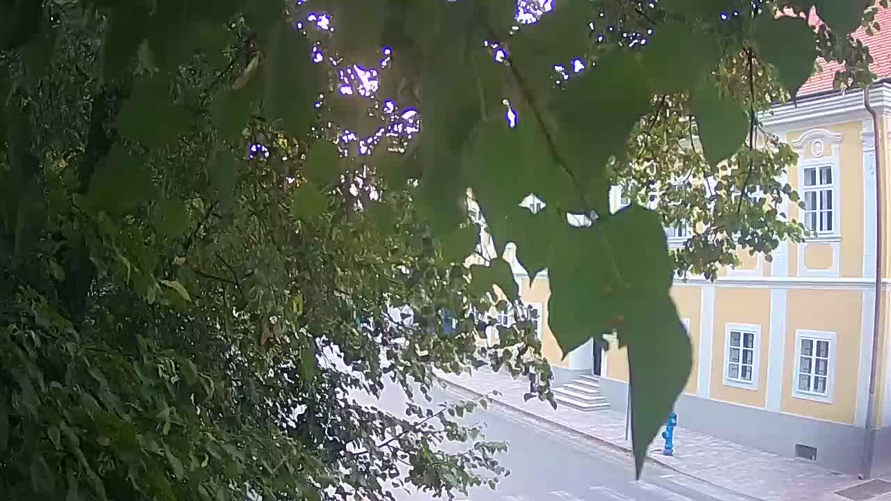 Spletna kamera v živo Petrinja centralni park – po potresu