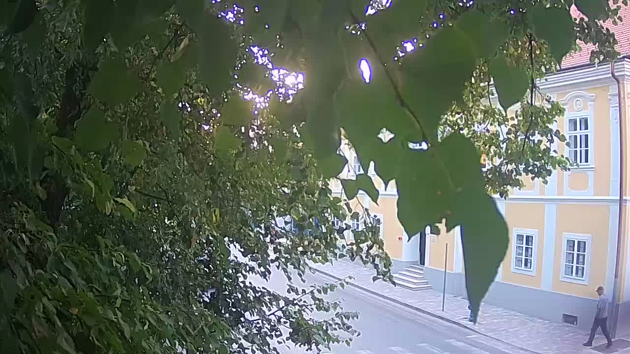 Webcam en direct du parc Petrinja – après le tremblement de terre