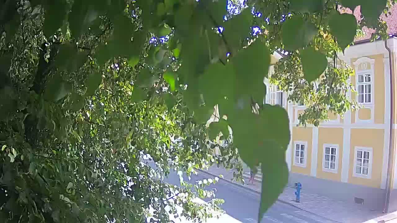 Live webcam Petrinja central park – after the earthquake