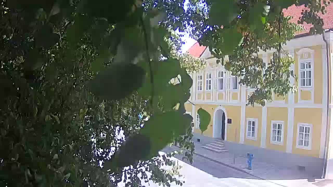 Live Webcam Petrinja Park – nach dem Erdbeben