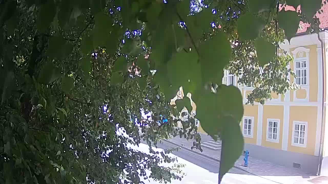 Webcam en vivo parque Petrinja – después del terremoto