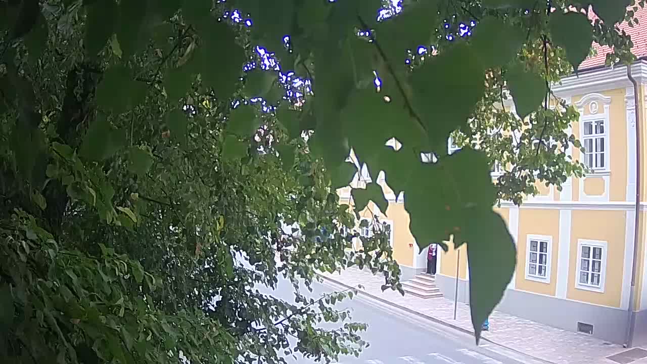Webcam en vivo parque Petrinja – después del terremoto