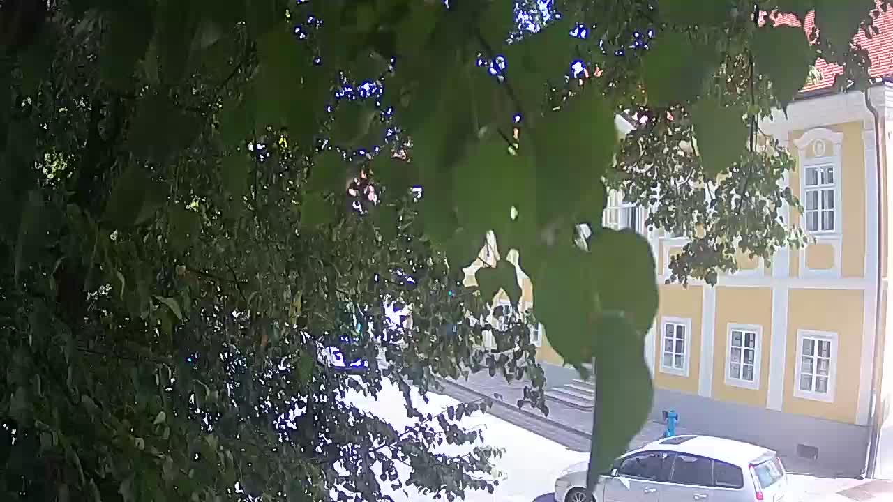 Webcam en vivo parque Petrinja – después del terremoto