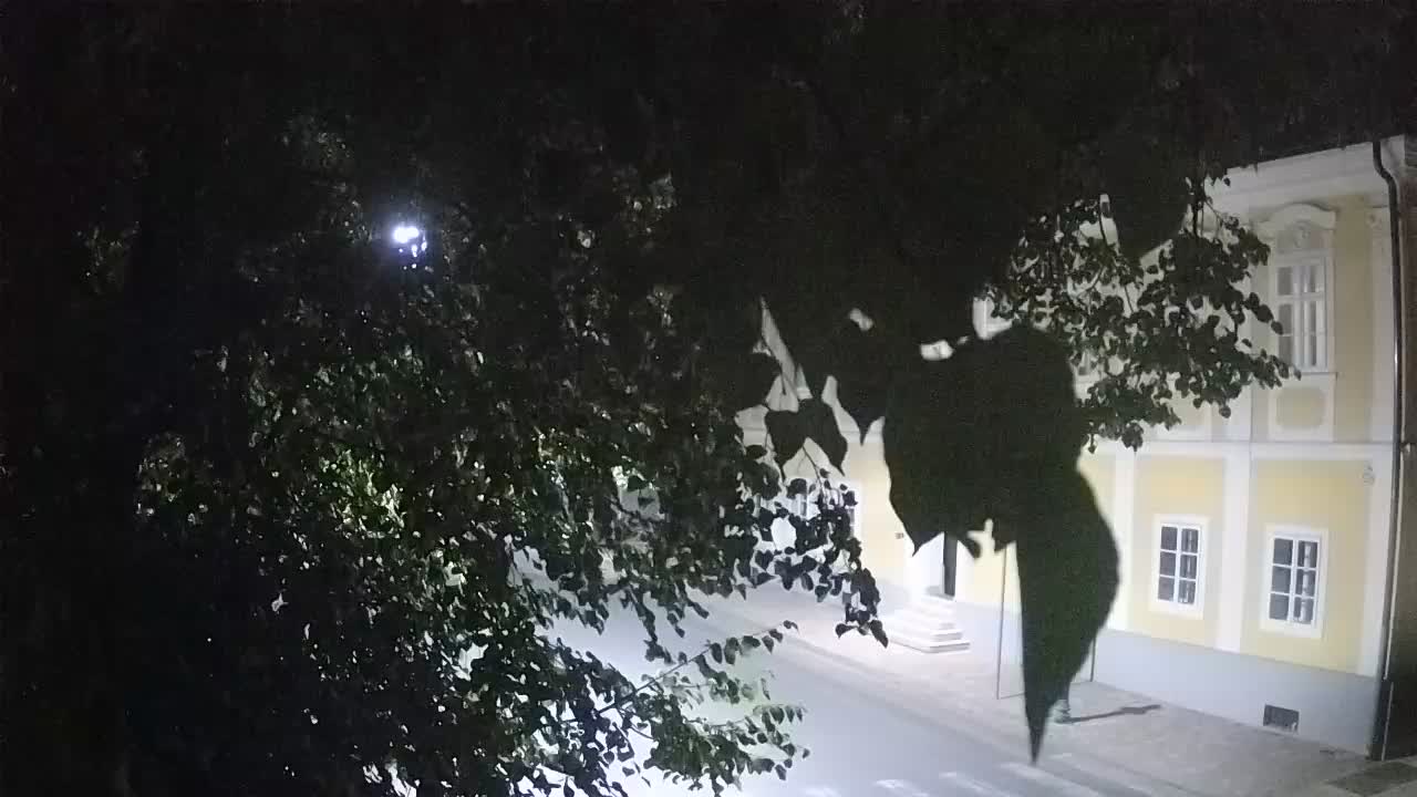 Webcam en vivo parque Petrinja – después del terremoto