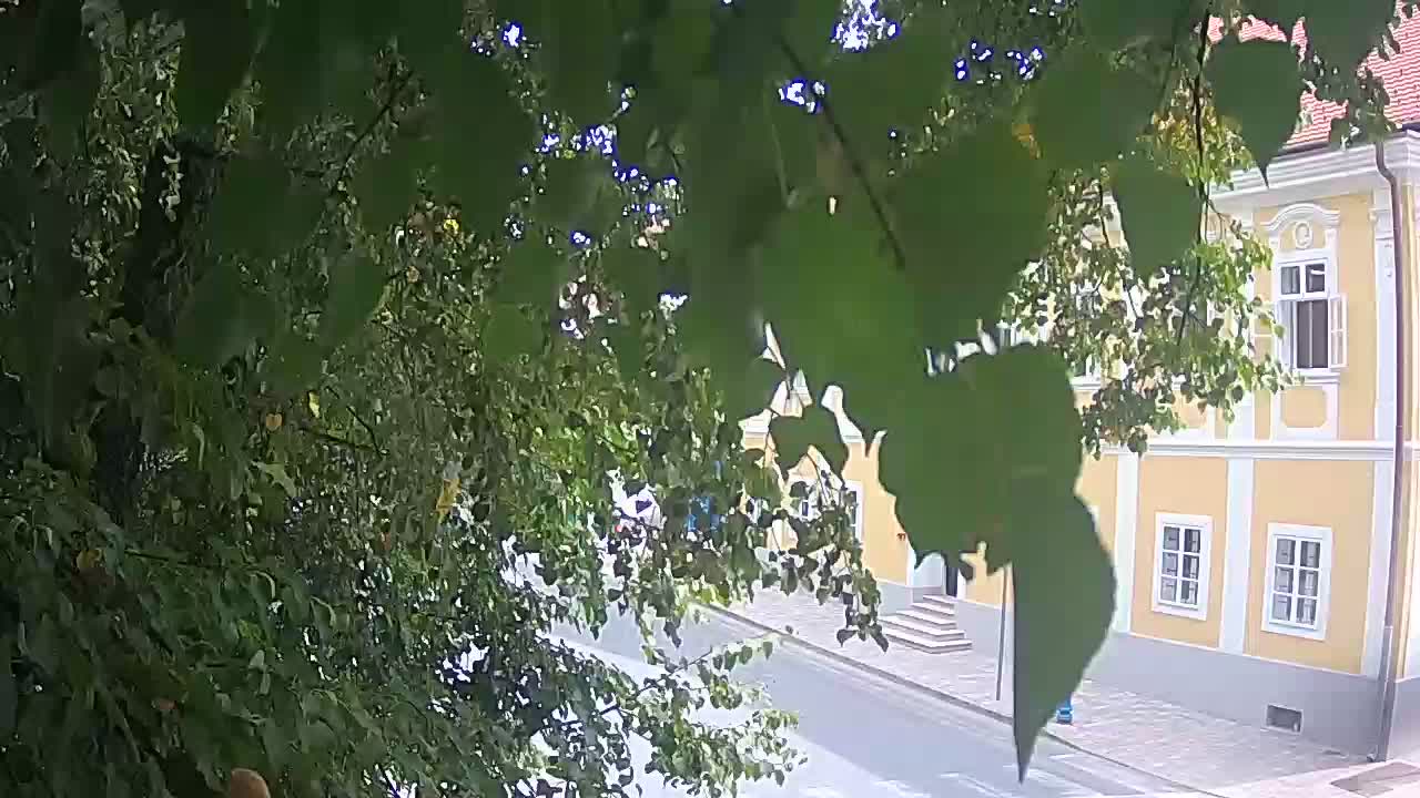 Webcam en direct du parc Petrinja – après le tremblement de terre