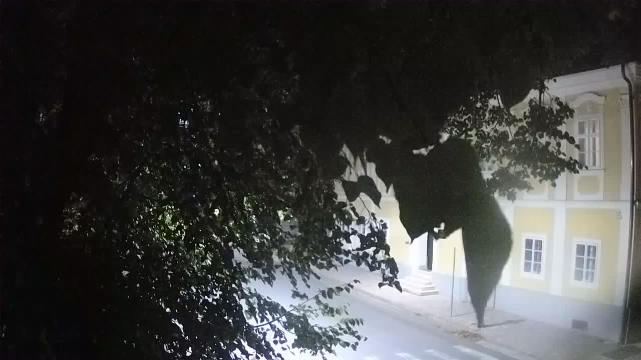 Live webcam Petrinja central park – after the earthquake