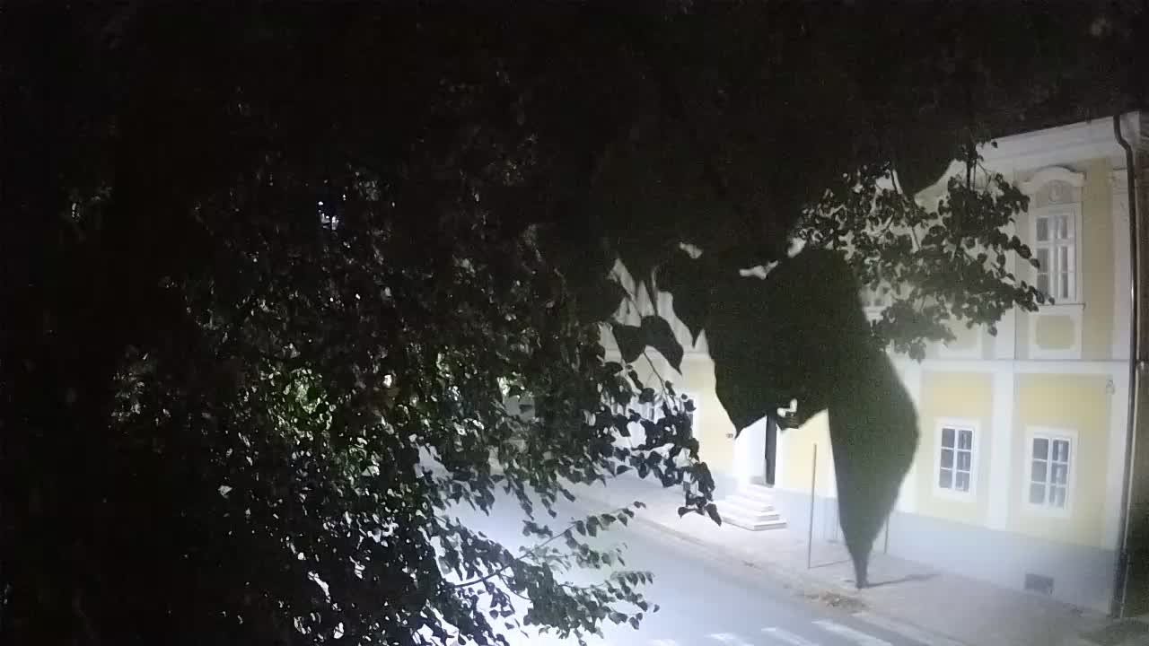 Web kamera uživo Petrinja centralni park – nakon potresa